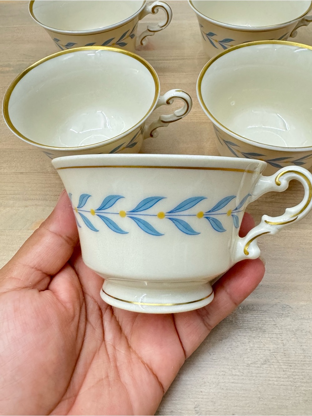 Vintage Syracuse China in the "Sherwood" pattern - set of 15